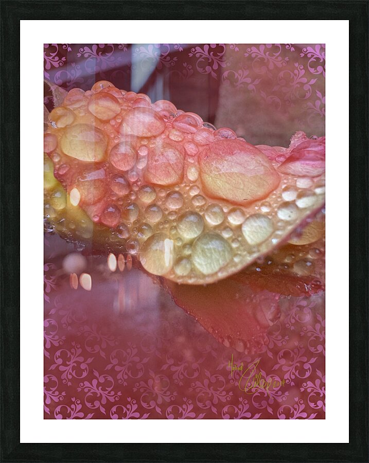 Foggy Rose Picture Frame print