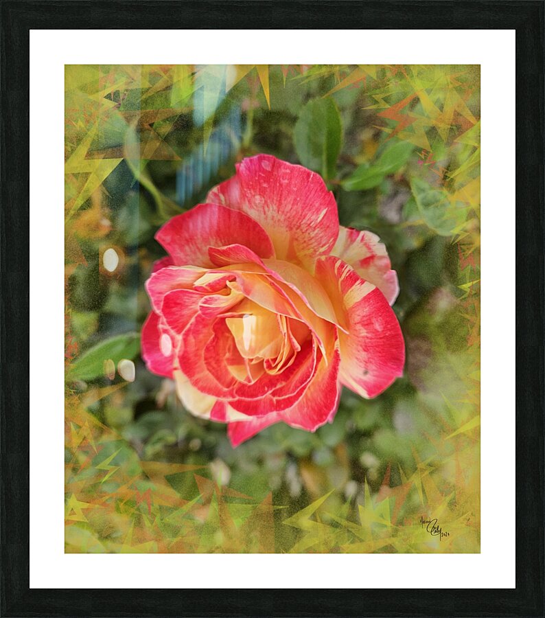 Orange Candycane Picture Frame print
