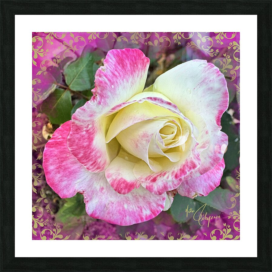 Pink Vanilla Picture Frame print