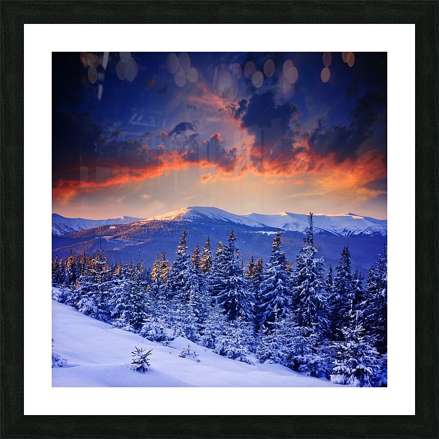 Forest Blues Picture Frame print