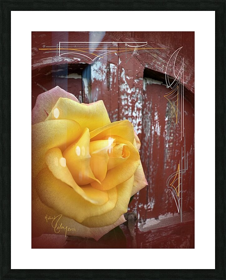 Barn Rose Picture Frame print