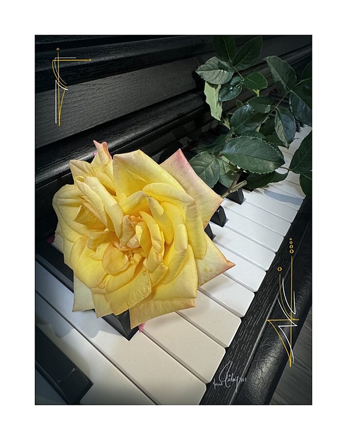 Yellow Soul Picture Frame print