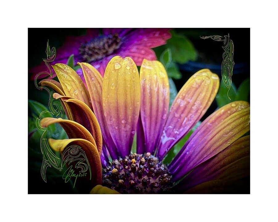 Neon Garden Picture Frame print
