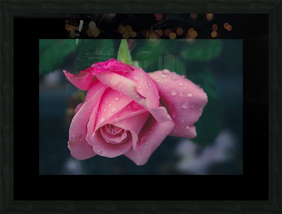 Brighter Pink Picture Frame print