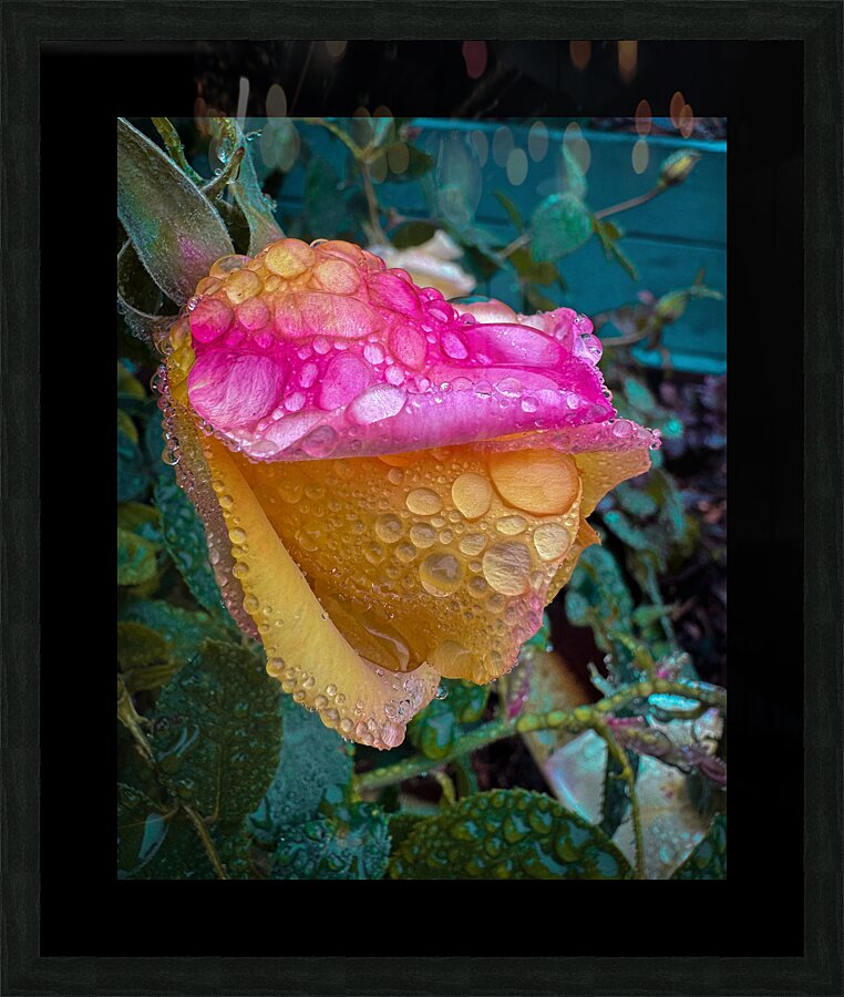 Pink Seymore Picture Frame print