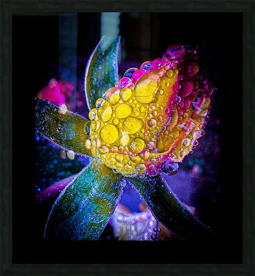 Blue Glow Picture Frame print