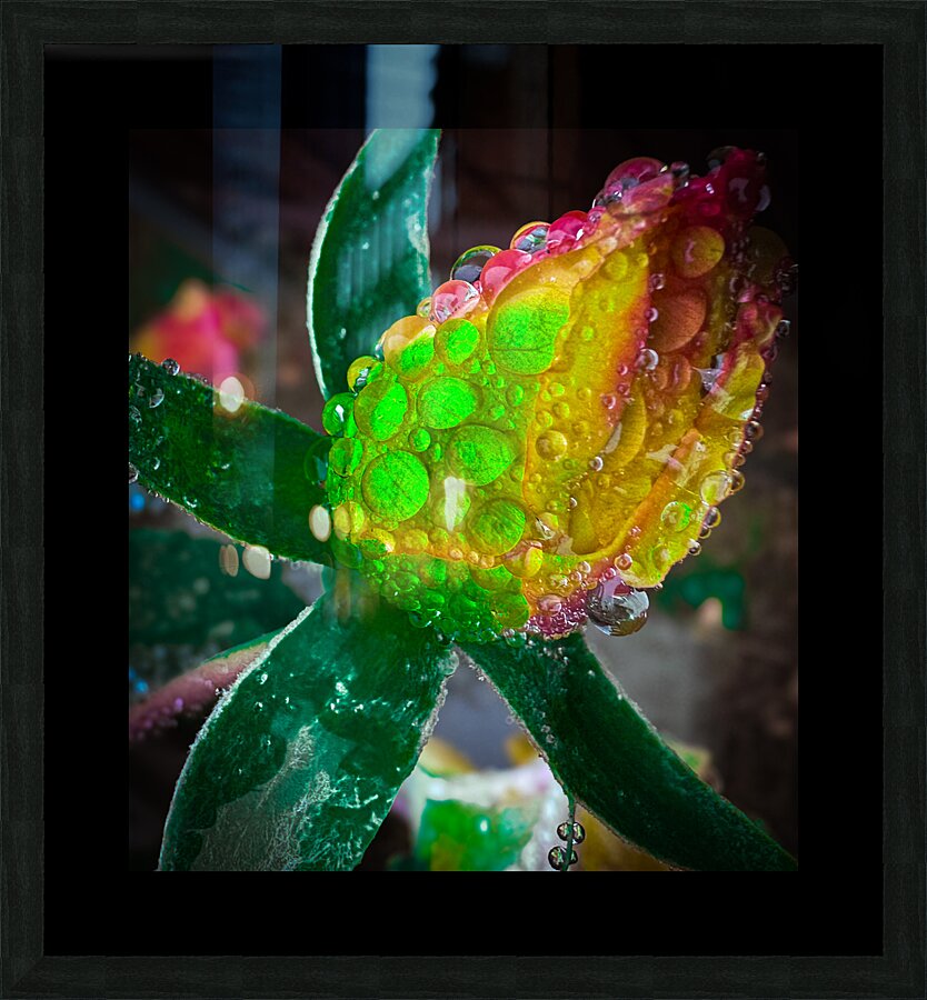 Florescent Rain Picture Frame print