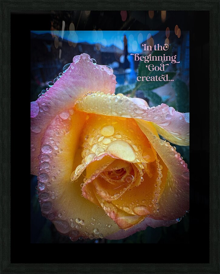 Sunset Pink Picture Frame print