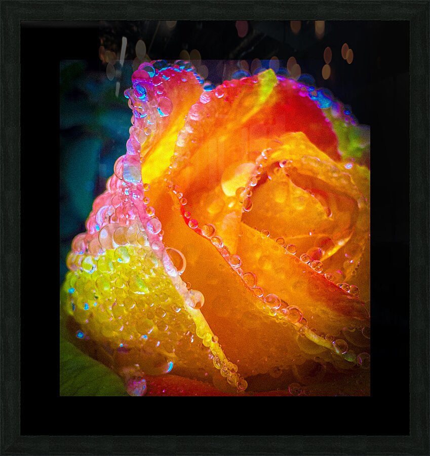 Peach Cobler Picture Frame print