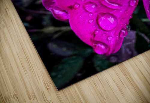 Pink Teardrop HotrodRiley puzzle
