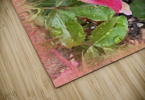 Garden Rain HotrodRiley puzzle