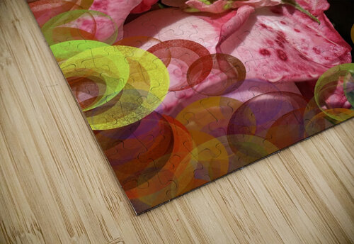 Guarded Rose HotrodRiley puzzle