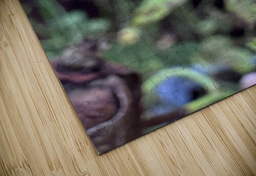 Crying Rose HotrodRiley puzzle