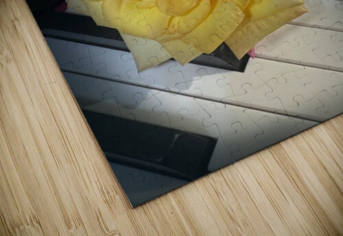 Yellow Soul HotrodRiley puzzle