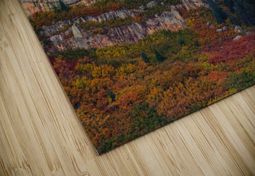Colorado HotrodRiley puzzle