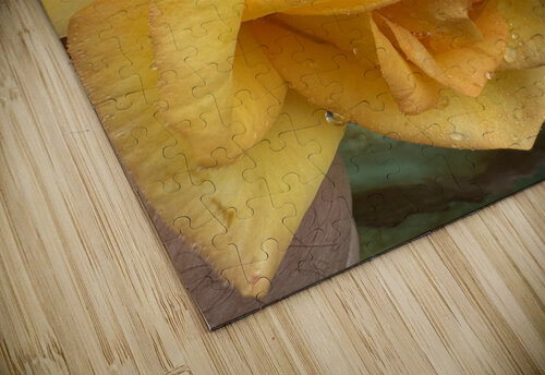 Sunshine Glow HotrodRiley puzzle