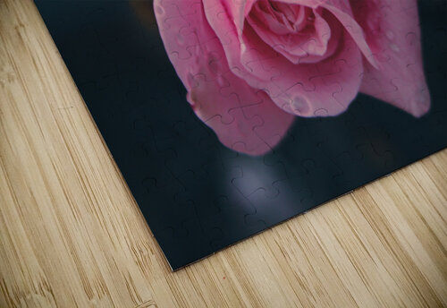 Brighter Pink HotrodRiley puzzle