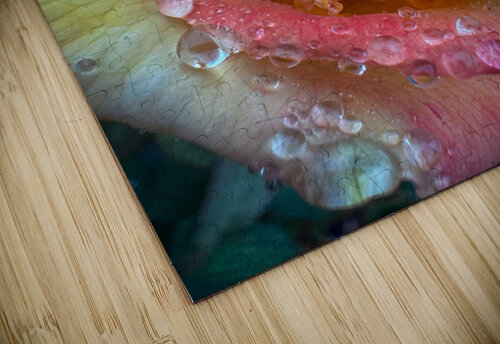 Strawberry Shortcake 2 HotrodRiley puzzle