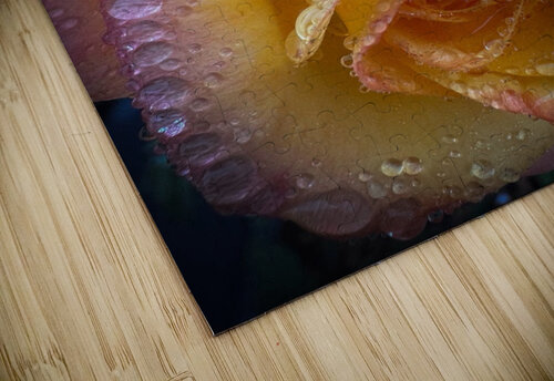 Sunset Pink HotrodRiley puzzle