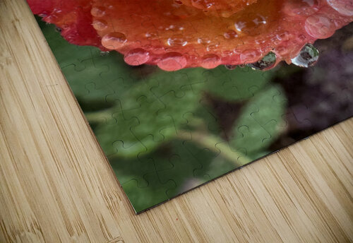 Yellow Cherry Rose HotrodRiley puzzle