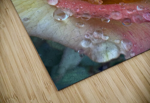 Strawberry Shortcake HotrodRiley puzzle
