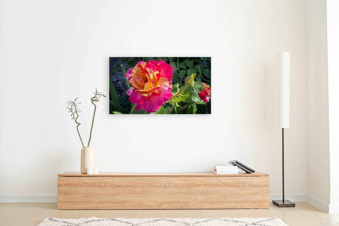 Pink Lemonade Reproduction