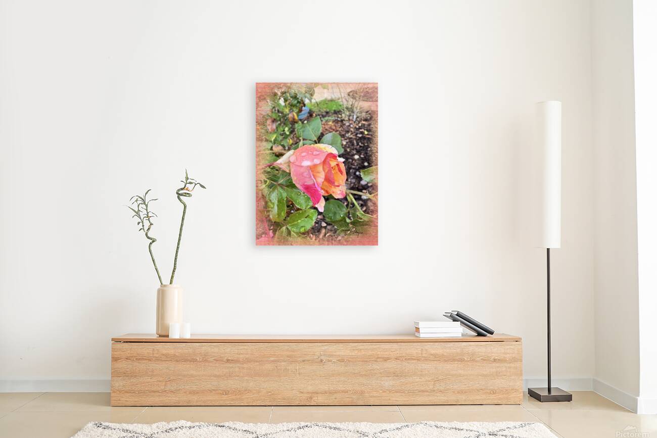 Garden Rain Reproduction