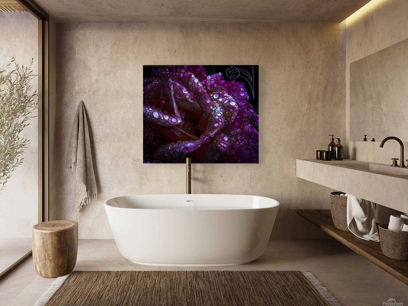 Purple Passion Reproduction