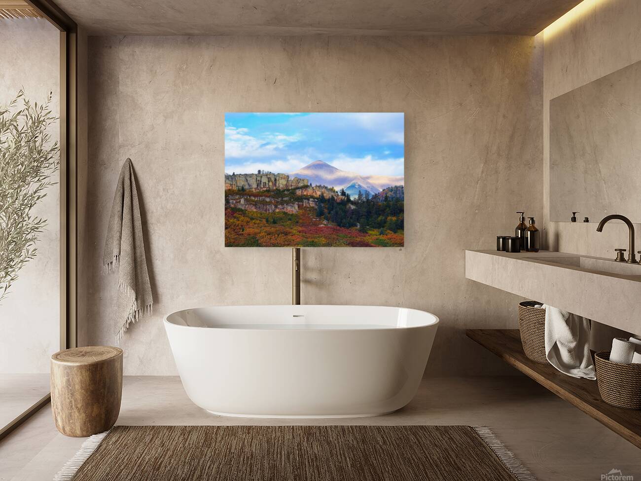Colorado Reproduction