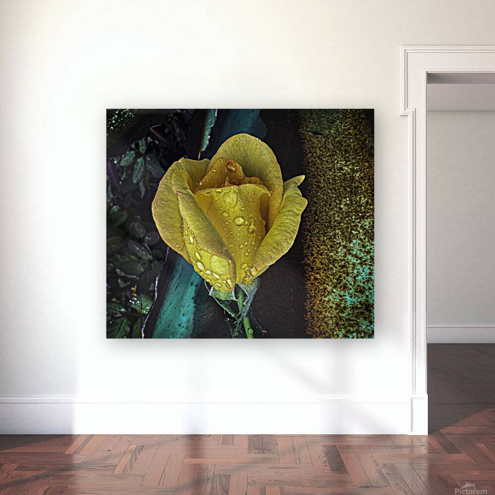 Yellow Rose Teal Reproduction