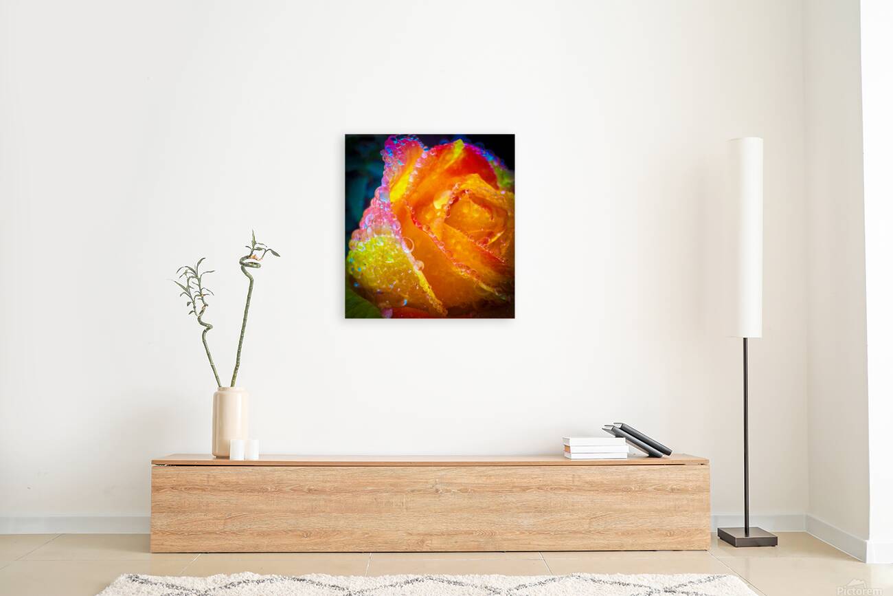 Peach Cobler Reproduction