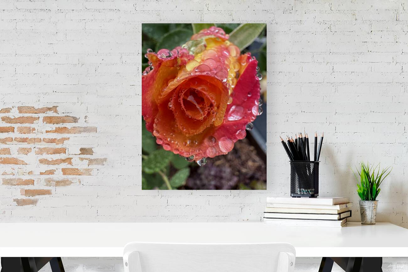 Yellow Cherry Rose Reproduction
