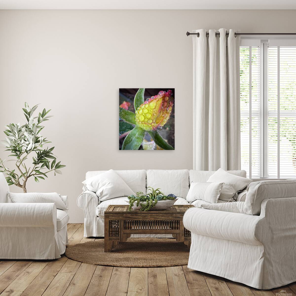 Lemon Drop Rose Reproduction