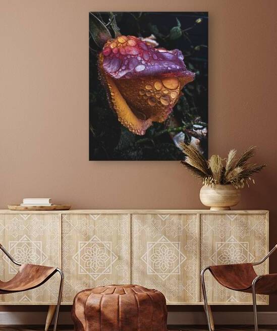 Purple Seymore Reproduction