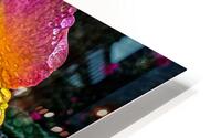 Cotton Candy HD Metal print