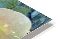 Morning Dew HD Metal print