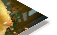 Yellowow HD Metal print
