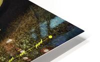 Rusty Rain HD Metal print