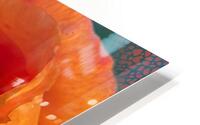 Popsicle Orange HD Metal print