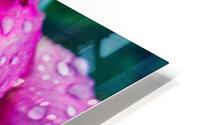 Hottest Pink HD Metal print