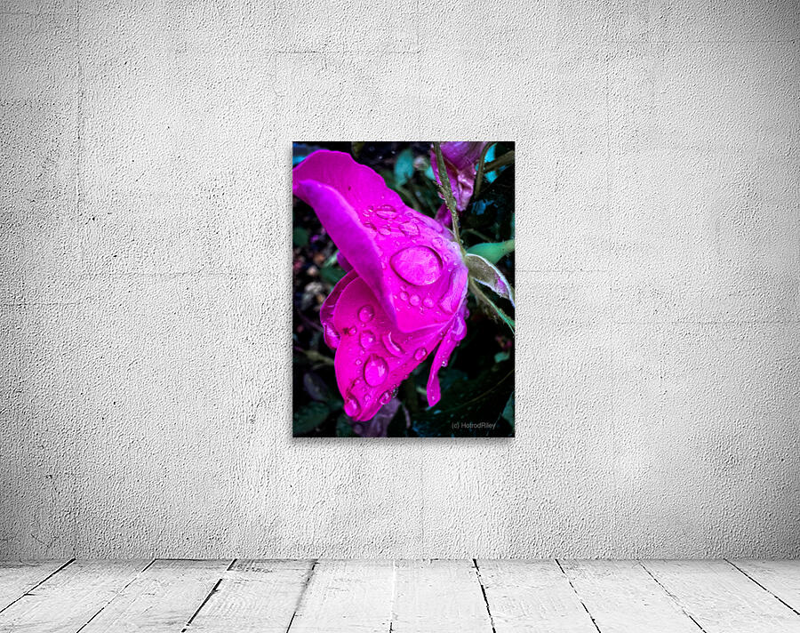 Pink Teardrop Wall Preview