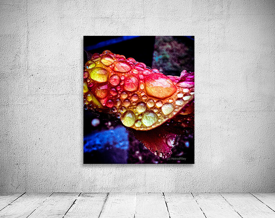 Glowing Dew Drop Wall Preview