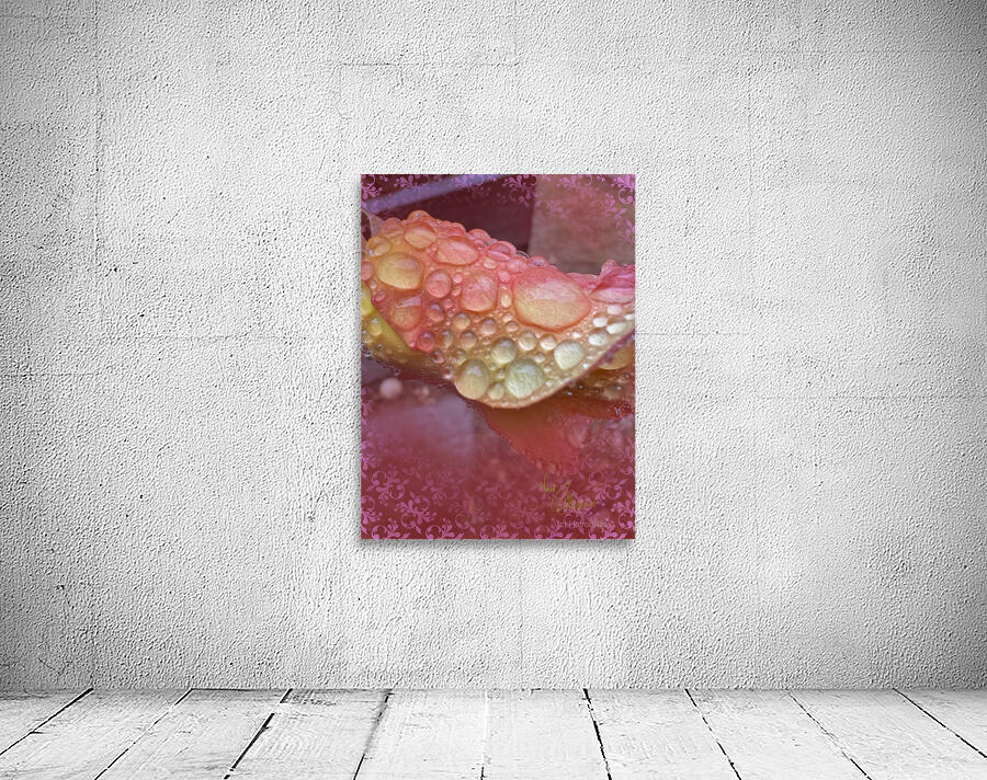 Foggy Rose Wall Preview