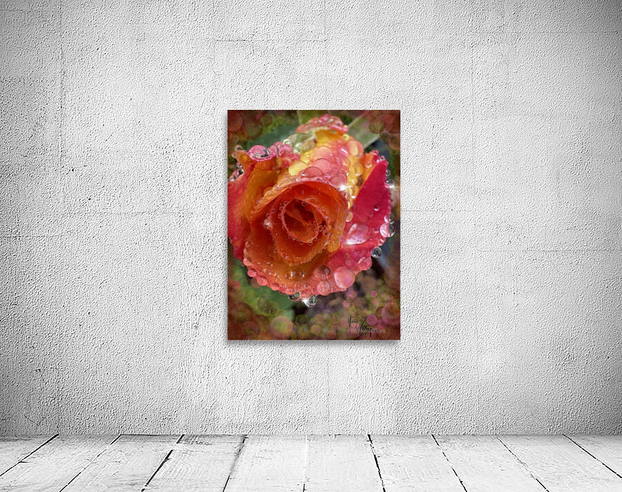 Frozen Rose Wall Preview