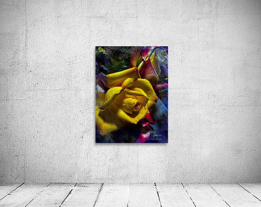 Yellow Shade Wall Preview