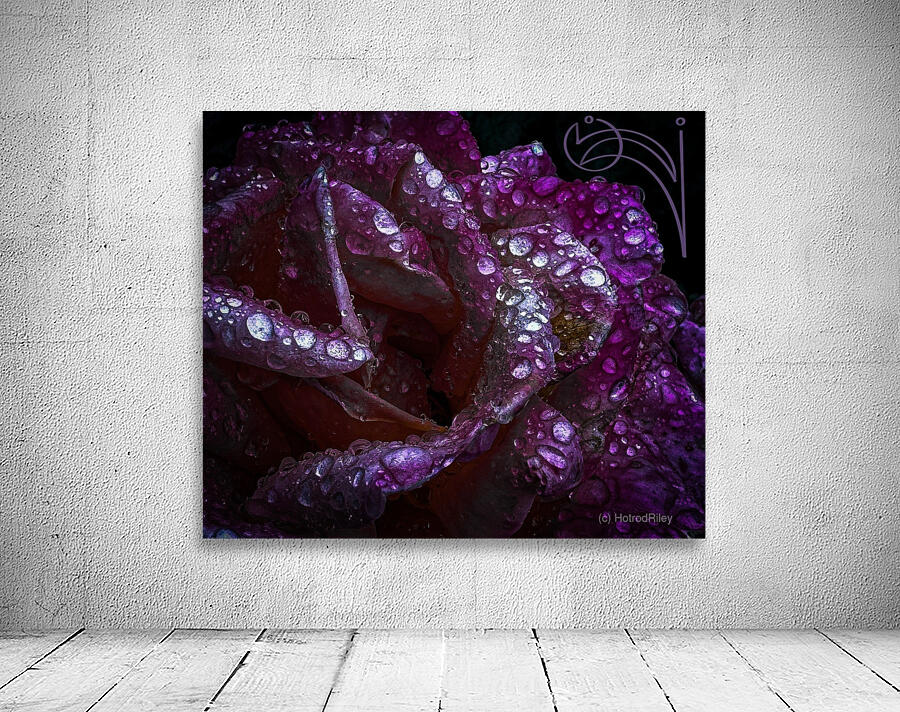 Purple Passion Wall Preview