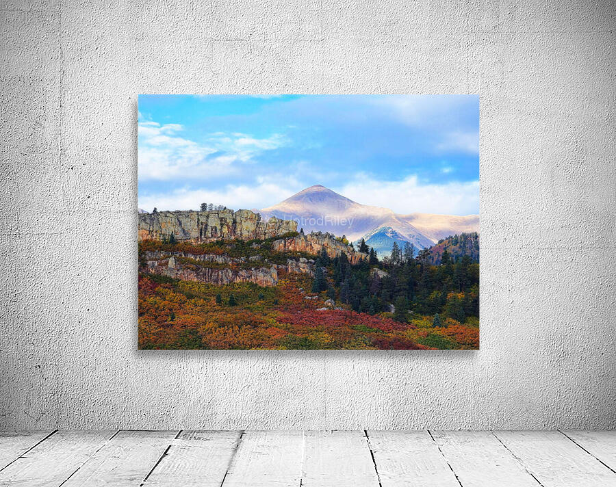 Colorado Wall Preview