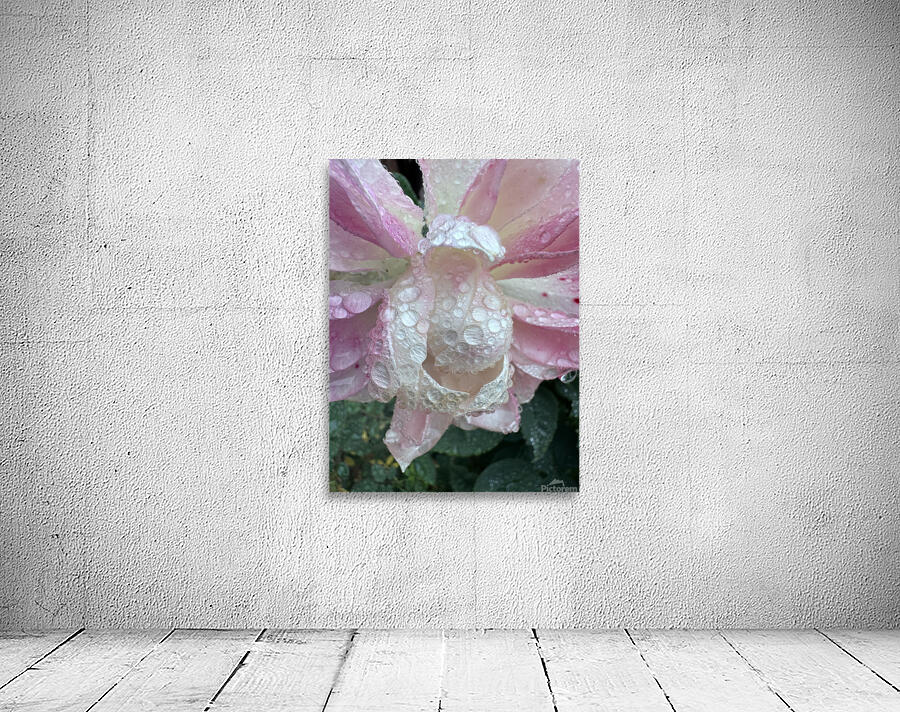 White Wedding Wall Preview
