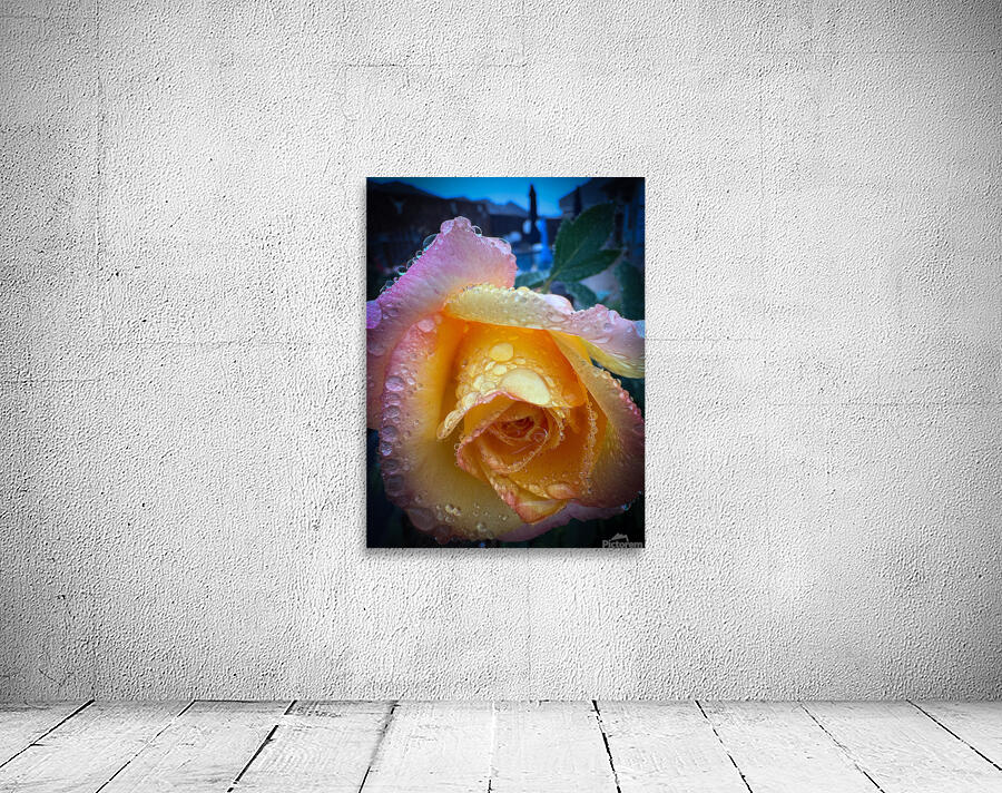 Pink Sunset 2 Wall Preview