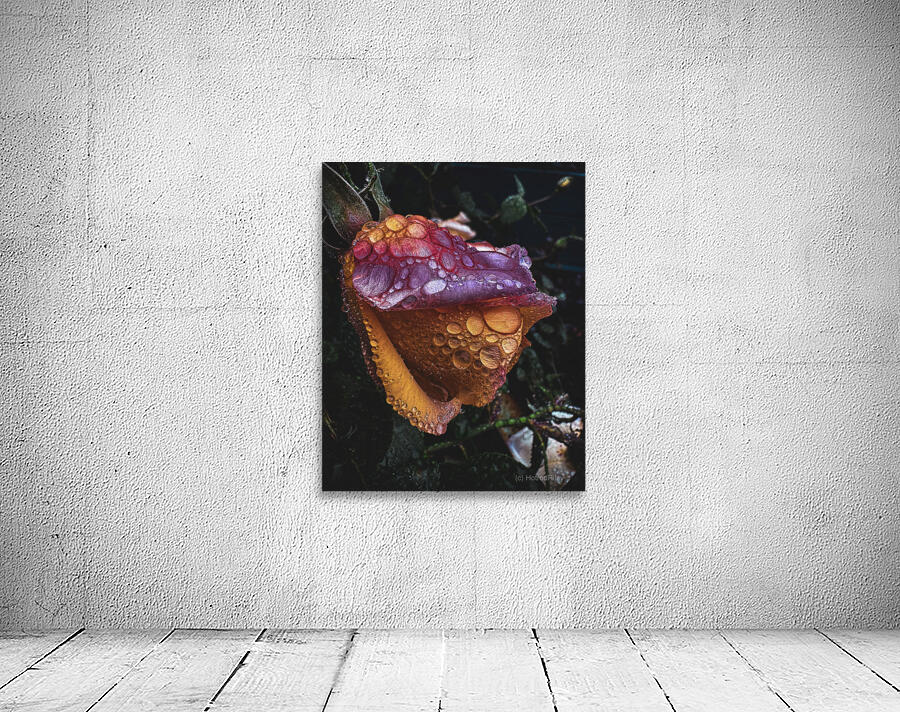Purple Seymore Wall Preview